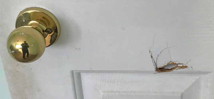 interior door hole repair Topanga